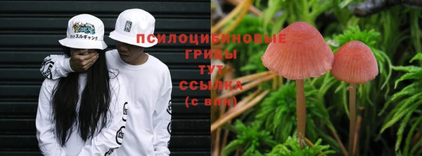 марки lsd Новокубанск