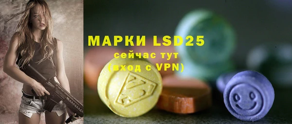 ешки Новозыбков