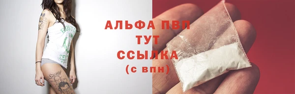 соль курить ск Новодвинск