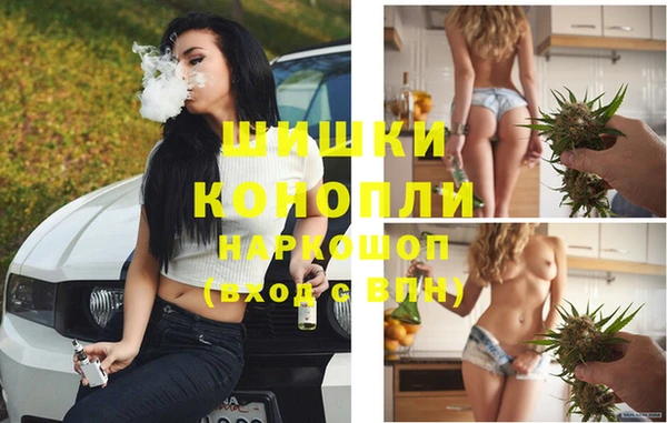 ешки Новозыбков