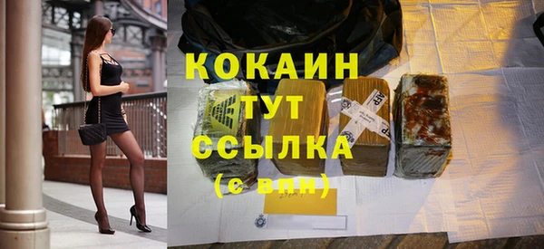ешки Новозыбков