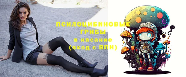 ешки Новозыбков