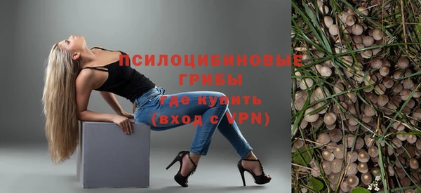 ешки Новозыбков