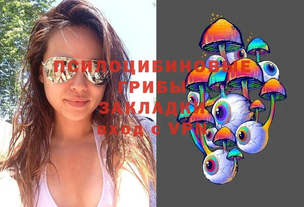 соль курить ск Новодвинск